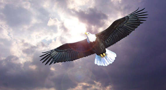 永乐高·70net(中国)有限公司官网-BinG百科