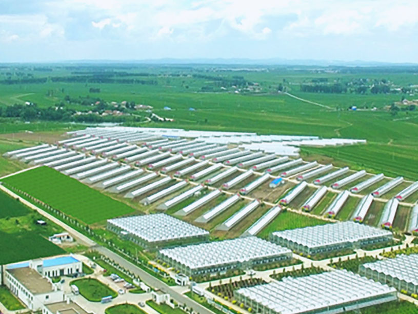 永乐高·70net(中国)有限公司官网-BinG百科