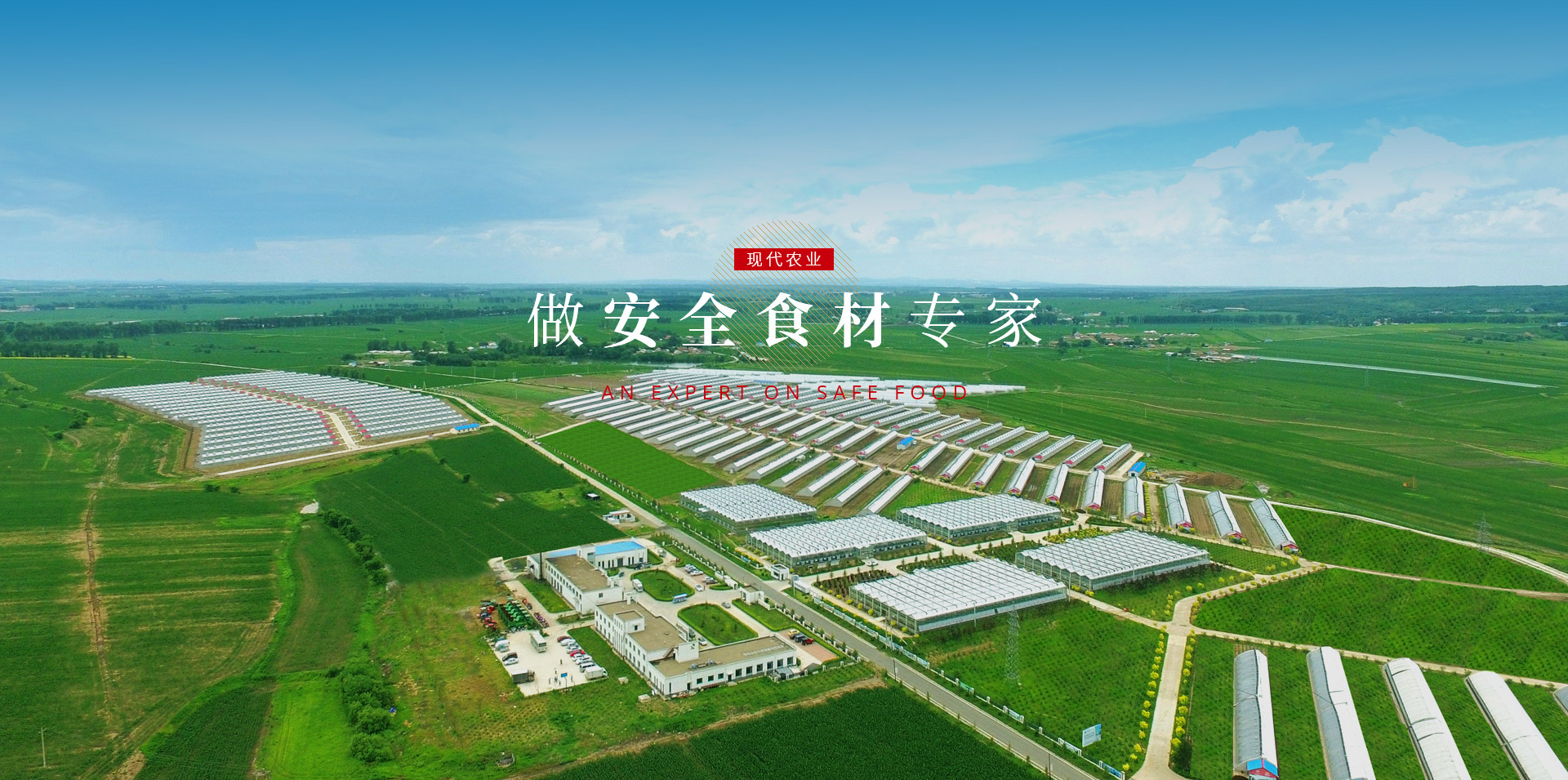 永乐高·70net(中国)有限公司官网-BinG百科